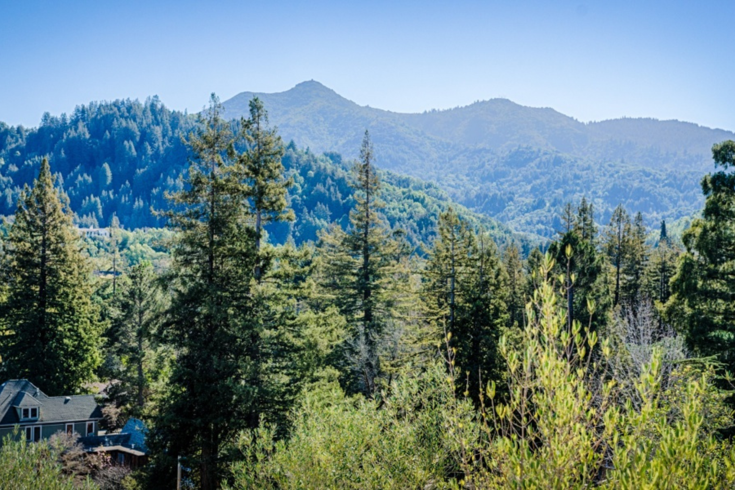 San Anselmo